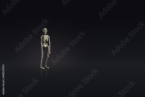 fake human full skeleton halloween concept