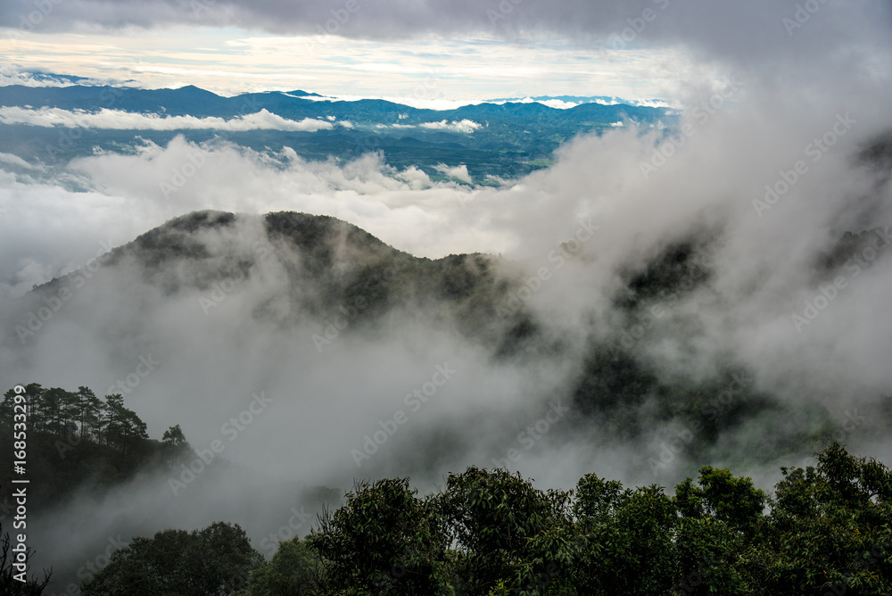 Moody sea of fog over valley with mountain background at hazy sunrise. Misty evergreen mountain landscape.