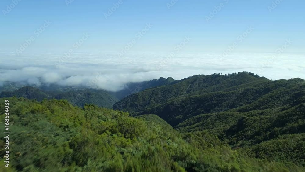 Mountains, Forests and Landscape of Madeira Mountains, Forests and Landscape of Madeira