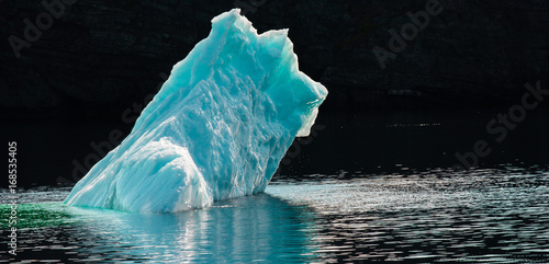 Doggy Iceberg