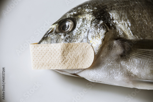 A dead fish, silenced with a patch on its mouth. Symbolic close-up shot: mute as a, censorship, privacy.
 photo