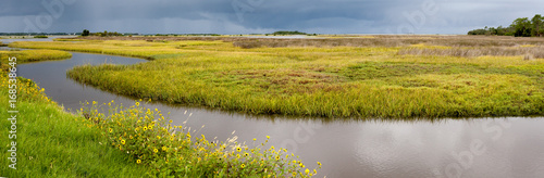 фотографія Approaching storm over the Marshes on the Florida Gulf coast