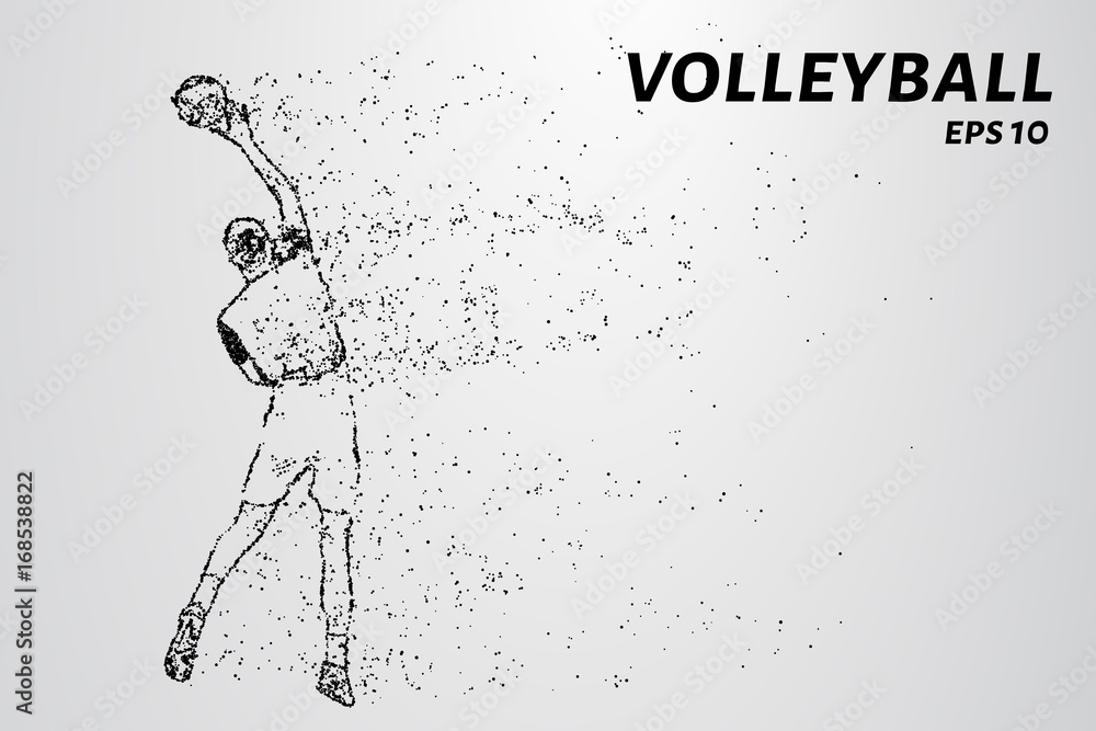 Volleyball, particle divergent composition, vector illustration. Silhouette of a volleyball from particles.