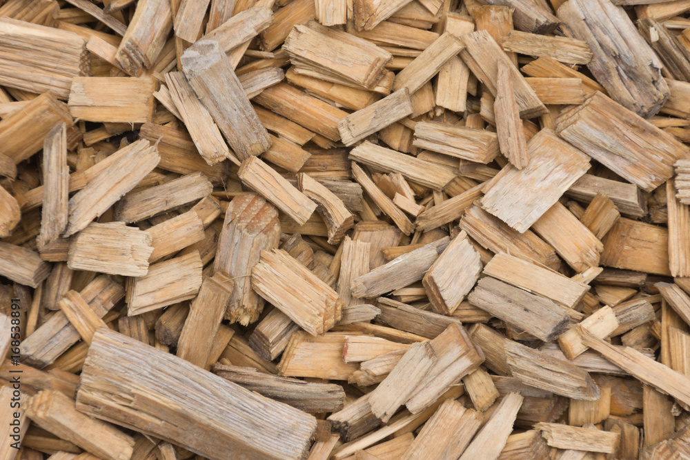 Holzstückchen auf Waldweg als Hintergrund Holzstückchen auf Waldweg als Hintergrund