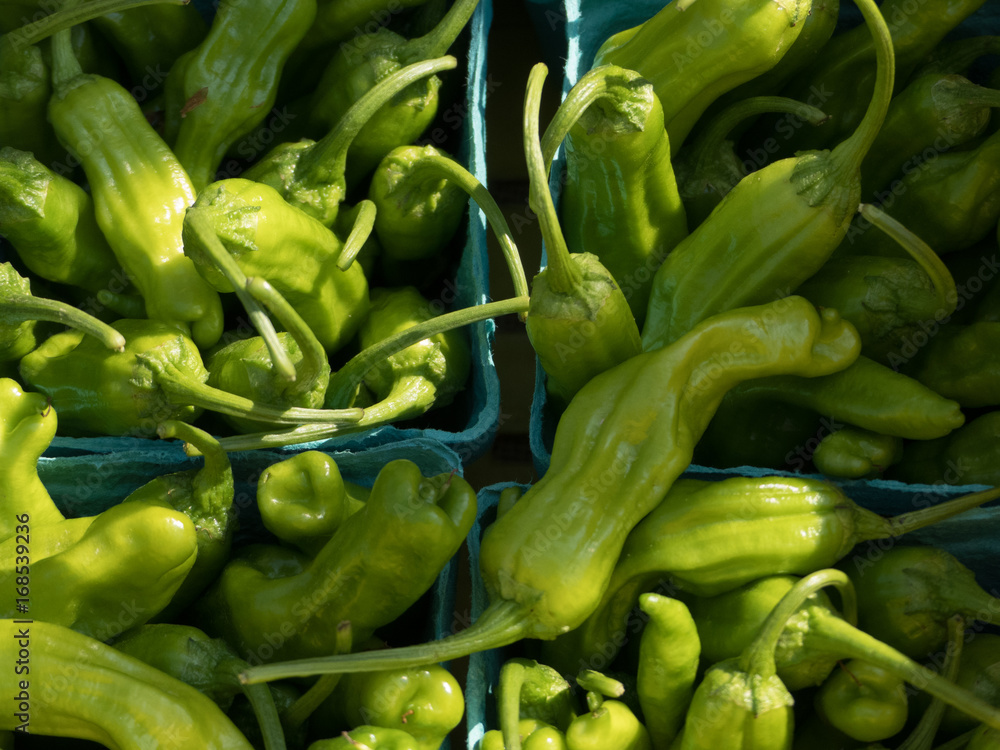 Organically grown peppercinis a ready for sale at the local farmer's market.