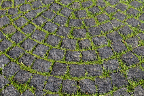 Paving stone with grass.