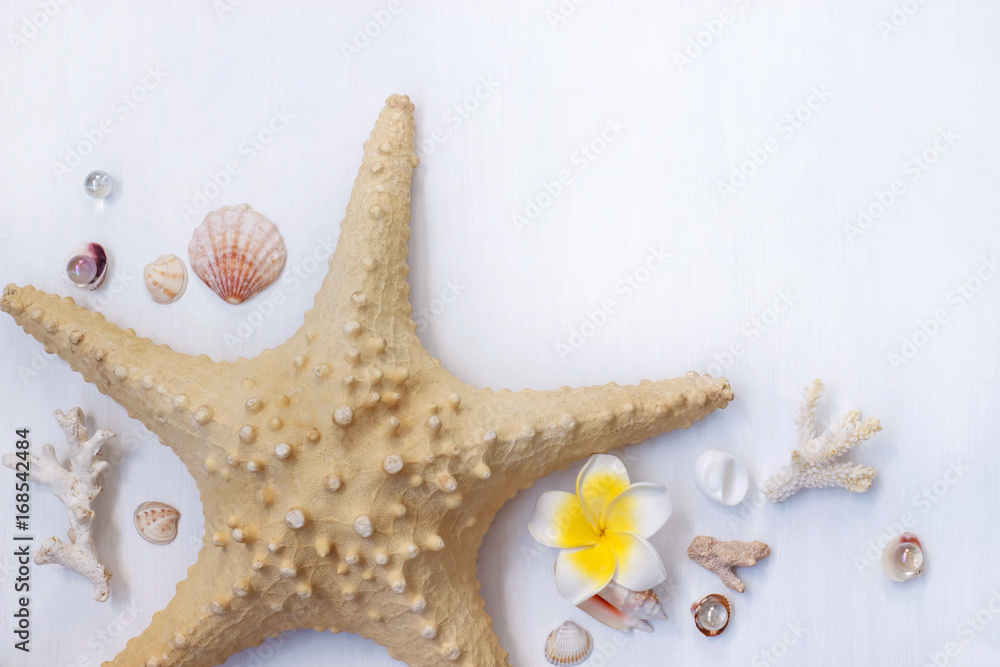 the white background on the marine theme with seashells, beads, corals, sea star and cap the white background on the marine theme with seashells, beads, corals, sea star and cap