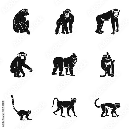 Monkey icon set, simple style