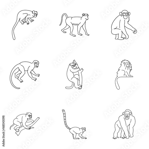 Monkey icon set, outline style