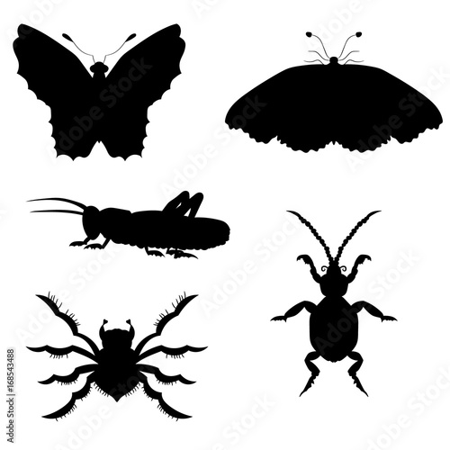 Set of silhouettes of insects. vector illustration. Drawing by hand.
