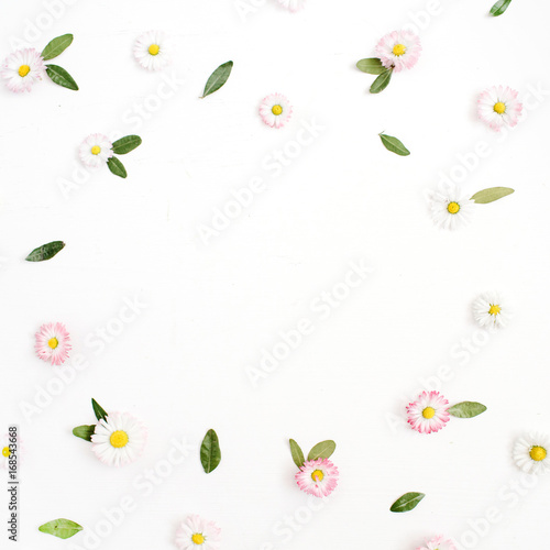Floral frame made of white and pink chamomile daisy flowers, green leaves on white background. Flat lay, top view. Daisy background. Frame of flower buds.