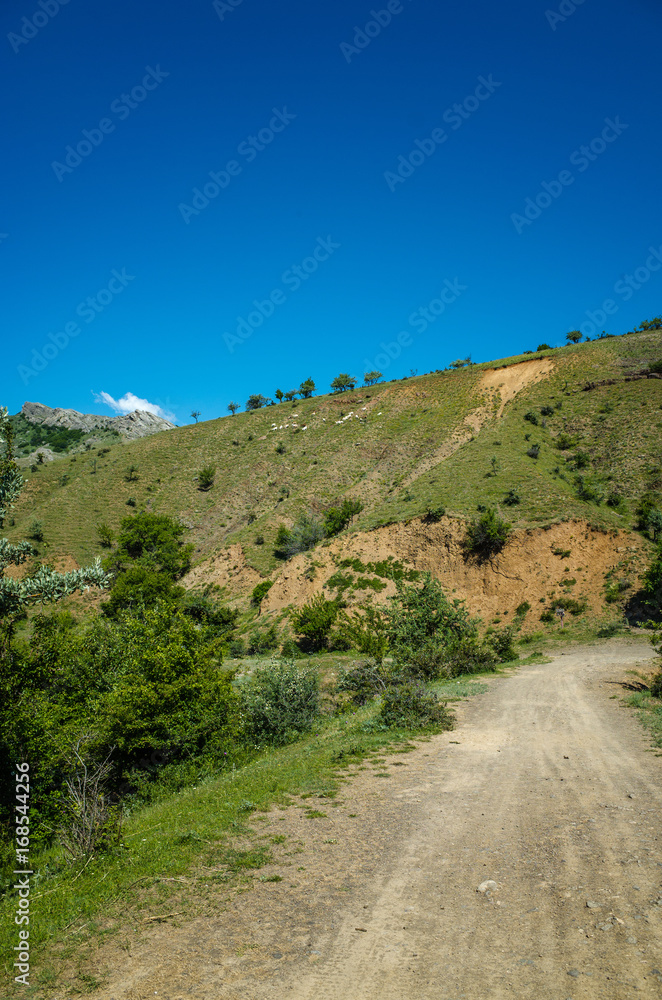 A country road in the mountains
