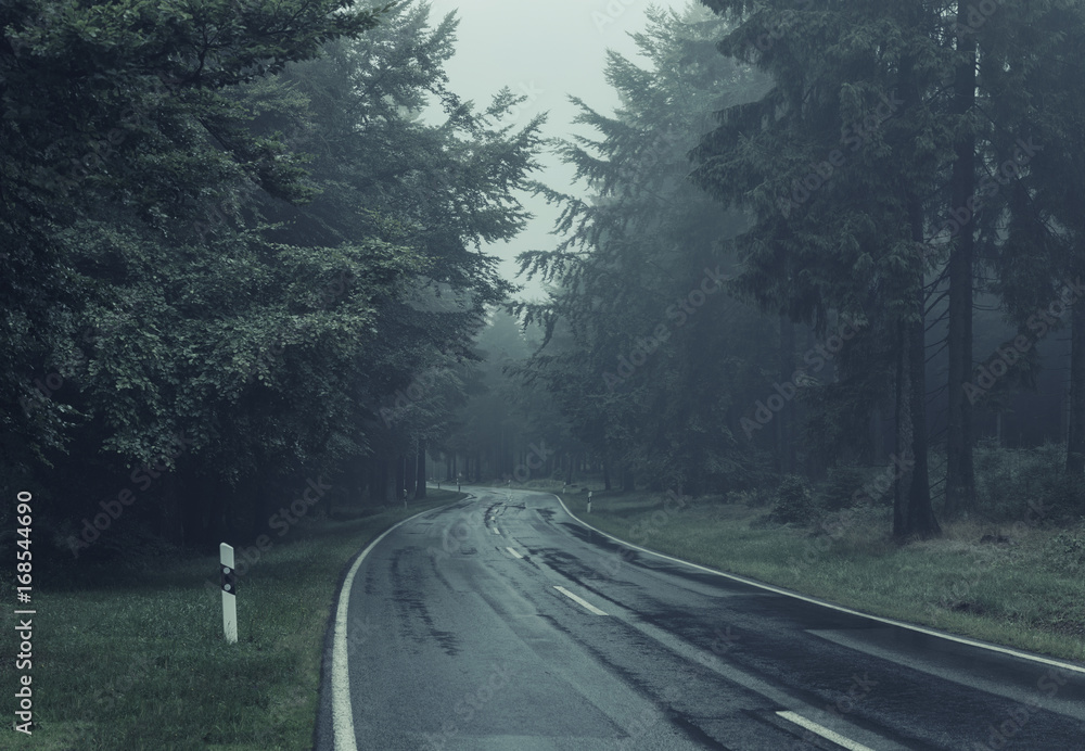 Naklejka premium Road Through A Forest With Morning Fog. Color Toning