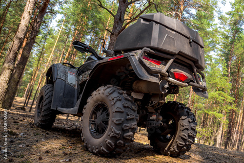 ATV Quadbike in a pine forest