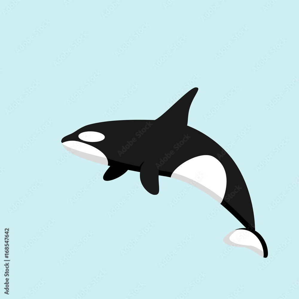 Fototapeta premium Killer whale, illustration in flat style on a blue background