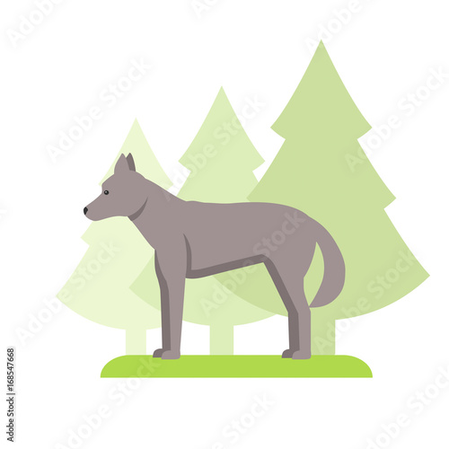 Image of wolf on white background