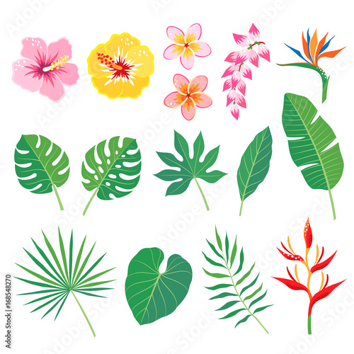 Set of tropical leaves and flowers isolated on white background photo