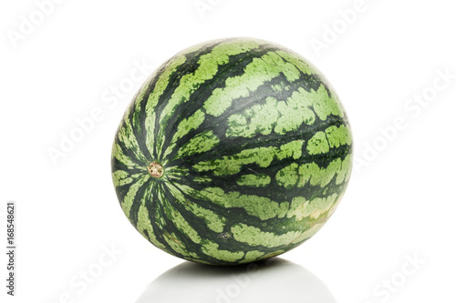 watermelon standing isolated on white background