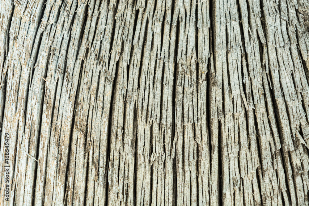 Dark texture of old natural wood with cracks from exposure to sun and wind Dark texture of old natural wood with cracks from exposure to sun and wind