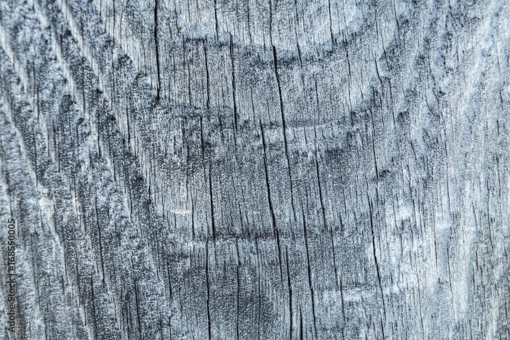 Fototapeta premium Dark texture of old natural wood with cracks from exposure to sun and wind