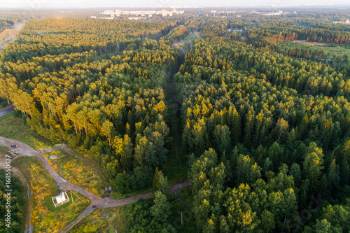 Flight at sunset over a glade in the forest © alexkazachok