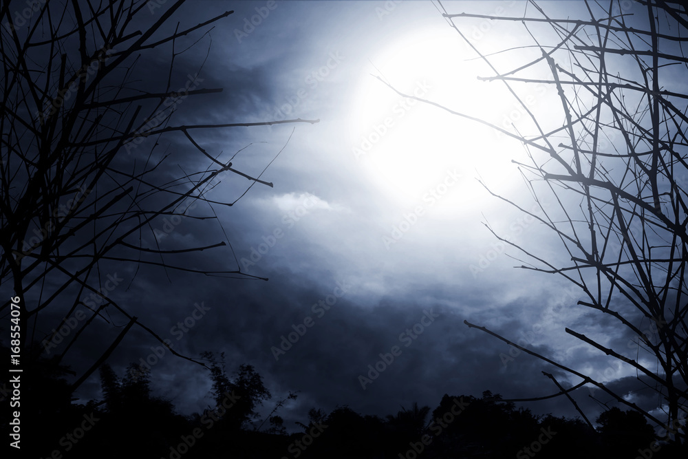 Obraz premium Horror background