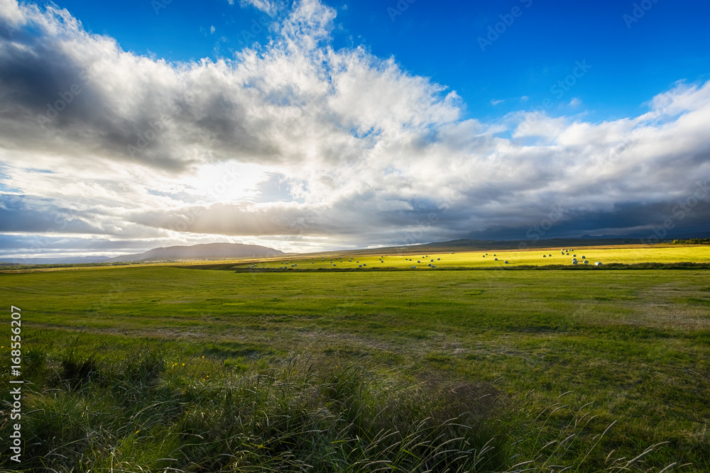 Fototapeta premium Hay bales in white plastic film stacked on a huge field in farm at Iceland. 