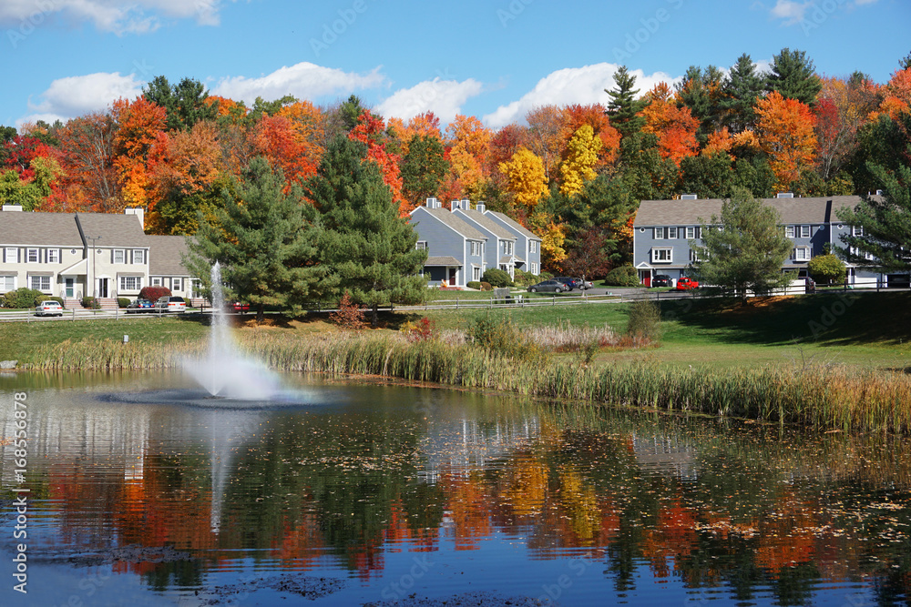residential community in autumn season with colorful landscape reflection in pond