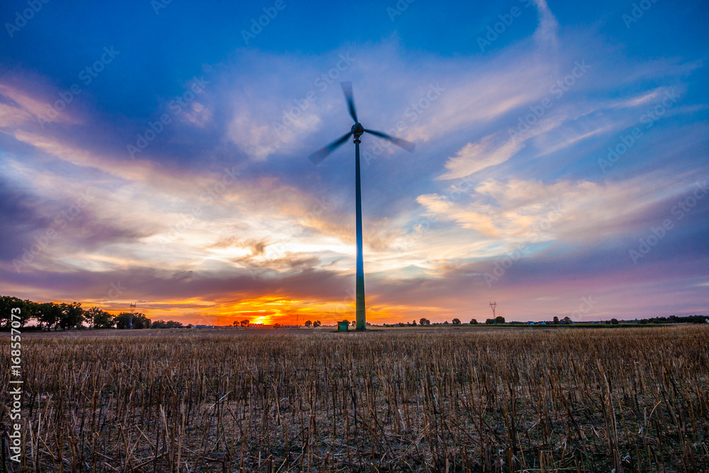 Obraz premium Beautiful sunset behind the windmills on the field