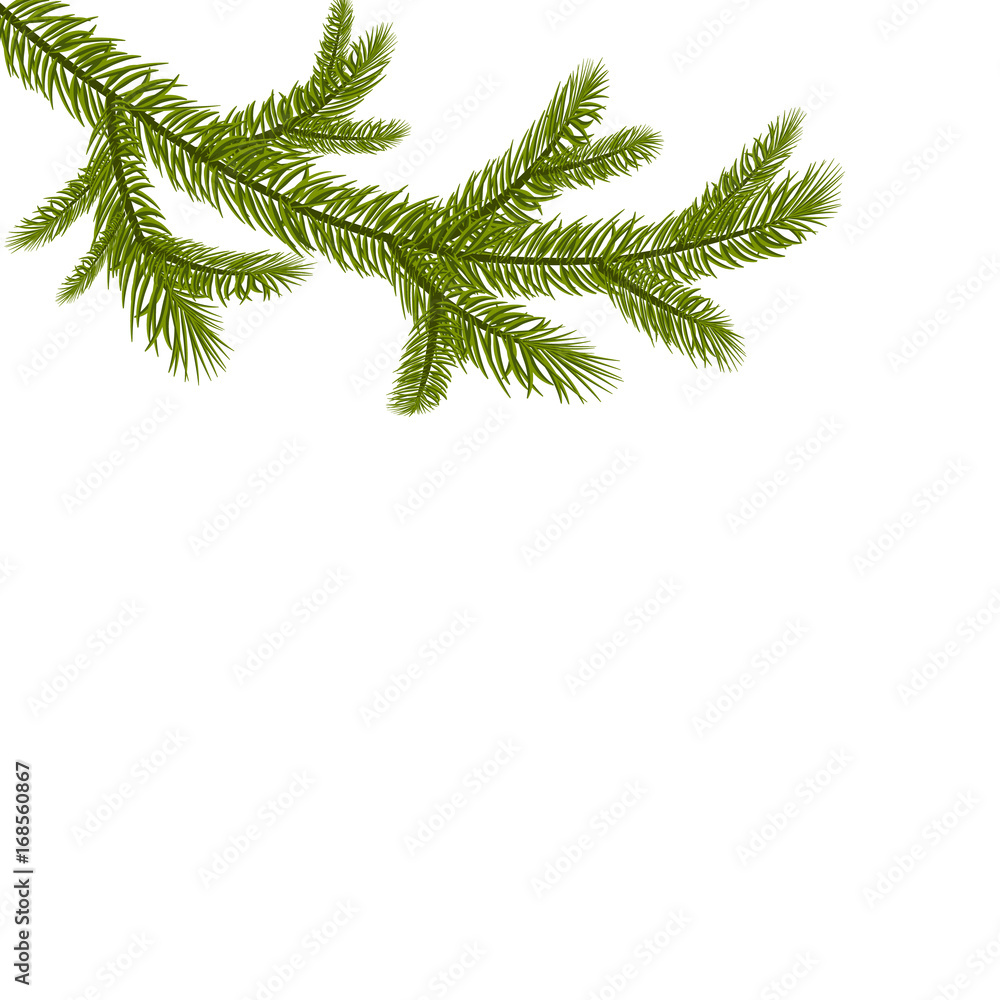 Symbol of the New Year. A green branch of spruce. Isolated against white background. illustration Symbol of the New Year. A green branch of spruce. Isolated against white background. illustration