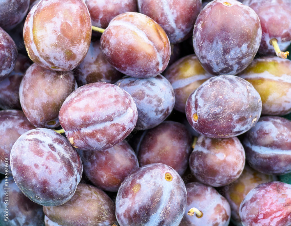 Plums Plums and More Plums