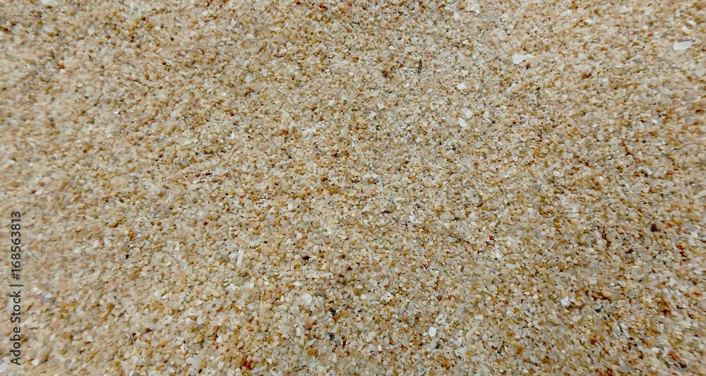 Macro photography from the sand. Macro photography from the sand.