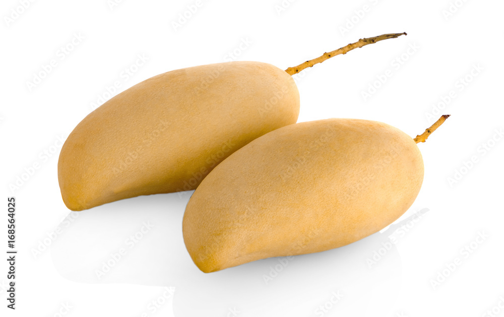mango fruit isolated on white background mango fruit isolated on white background