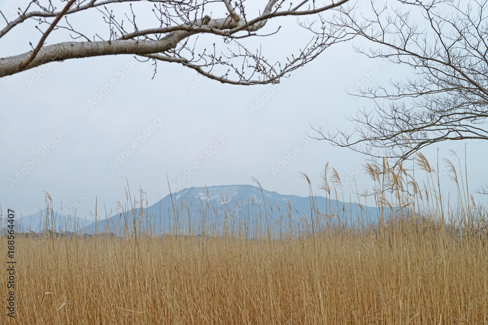 Obraz premium 角田山