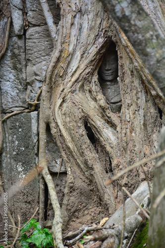 Angkor Wat, Absara Face in root, Siem reap, Cambodia. photo