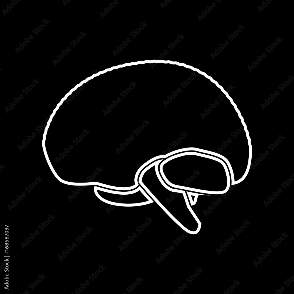 Brain white color icon . Brain white color icon .