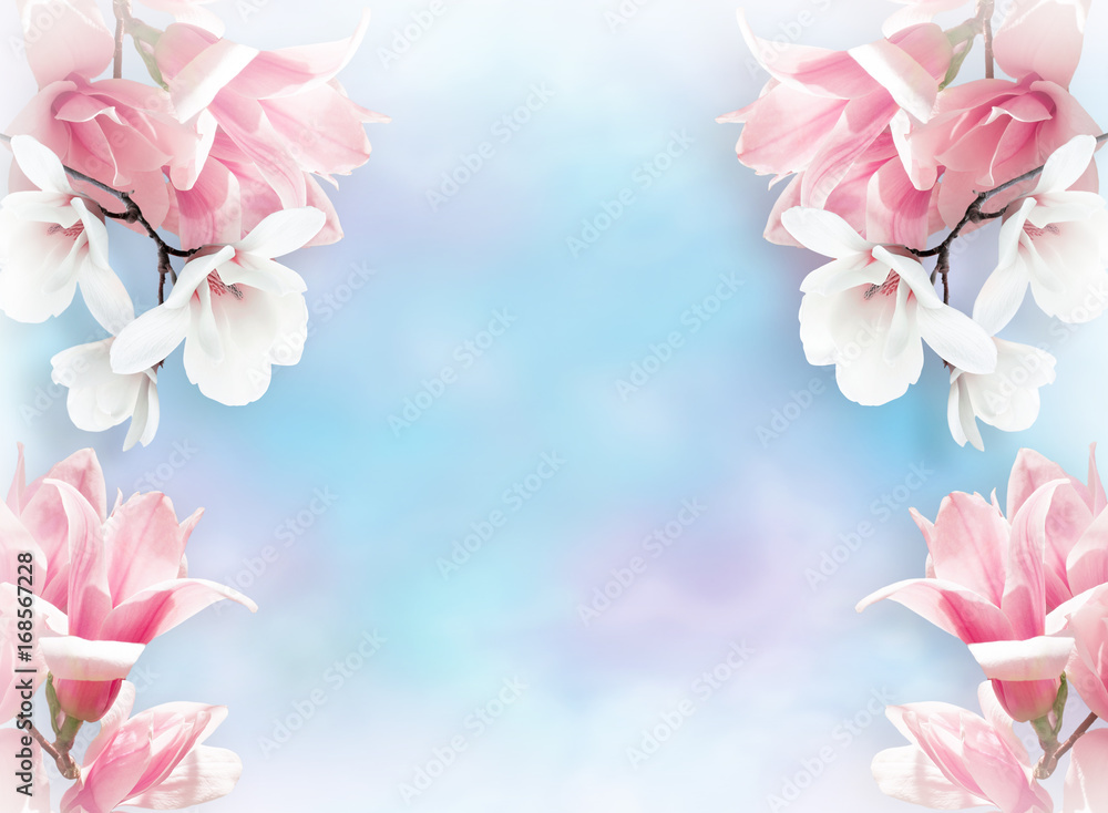 Spring floral background with magnolia flowers Spring floral background with magnolia flowers