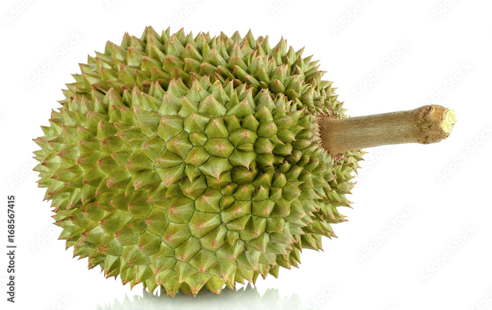 Close up green durian isolated on white background. Close up green durian isolated on white background.
