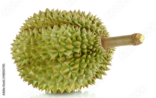 Close up green durian isolated on white background.