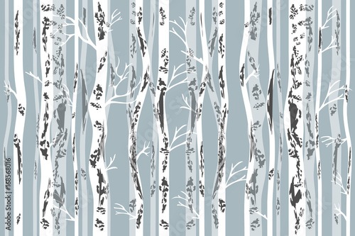 Birch grove in autumn. 