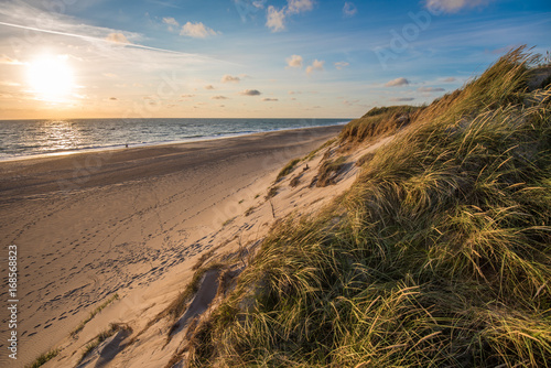 Fototapet North sea beach, Jutland coast in Denmark
