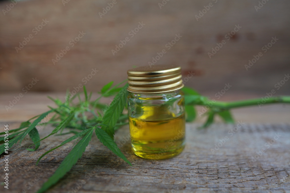 A cannabis leaf and a bottle of hemp oil on a wooden table A cannabis leaf and a bottle of hemp oil on a wooden table