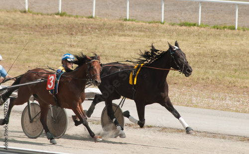 Racing Hippodrome, a confrontation between two horses, © vulkanov