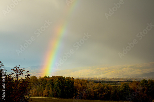 Rainbow over Montana
