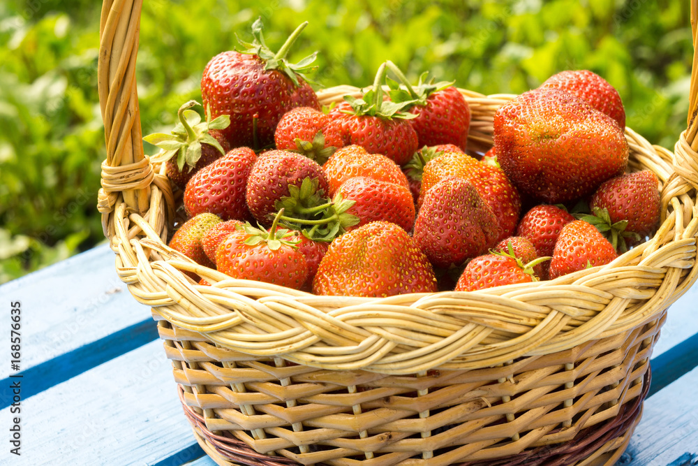 Strawberry in Basket on Grass Strawberry in Basket on Grass