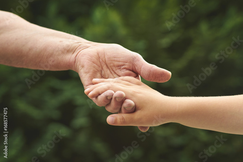 Hand in hand. Old woman hold her young grandchild's hand   © steevy84