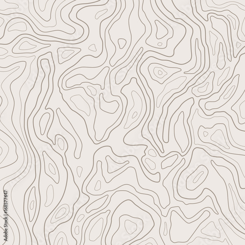 Topographic map lines, earth relief, contour background. Geographic grid, elevation map, vector abstract.