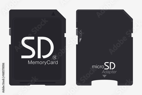 Top View Micro SD to SD Memory Card Adapter. Memory Chip Isolated