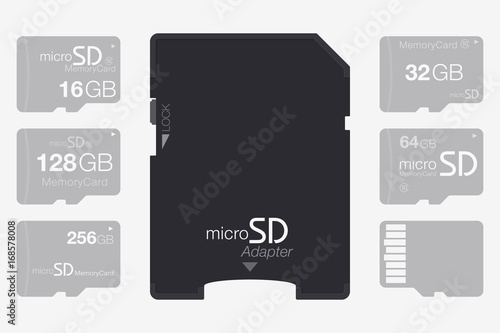 Top View Micro SD to SD Memory Card Adapter. Memory Chip Isolated