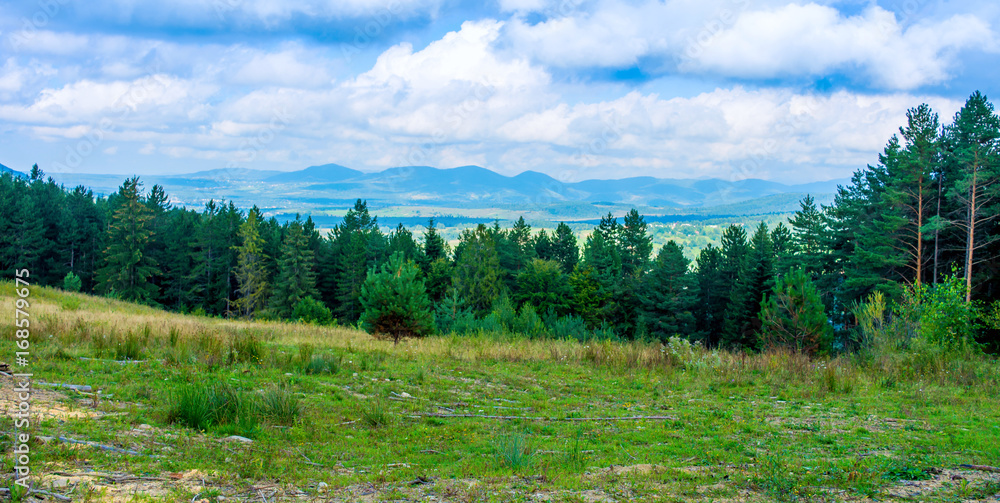 Photo of green forest and valley in Carpathian mountains